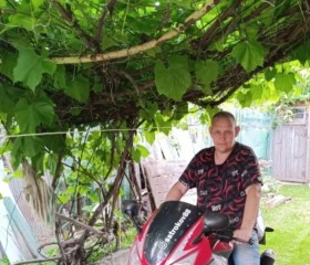 Mikhail, 51, Morshansk