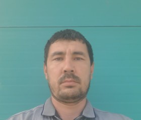 Мансур, 38 лет, Шымкент