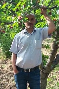Mesut, 52, Türkiye Cumhuriyeti, Bergama
