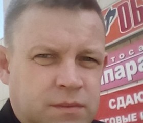 Владимир, 46 лет, Реж