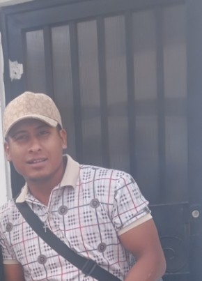 Mauricio из San Luis Potosí 29 лет