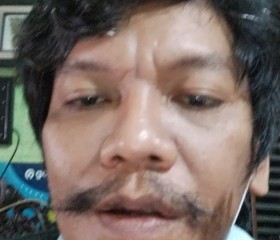 Alexander Mario, 45 лет, Kota Medan