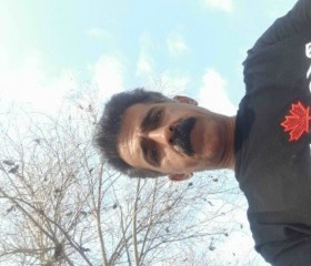 Mostafa jahabani, 35, New York City