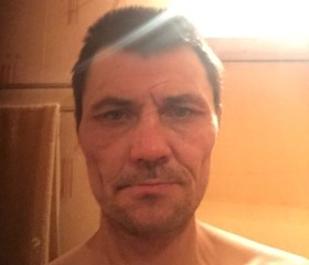 Михаил, 46 лет, Сафоново