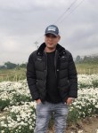 Thanh, 36 лет, Đà Nẵng