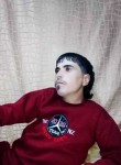 حكيم ابوعبدو, 30  , Homs