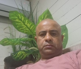 סאלם, 50, Tiberias