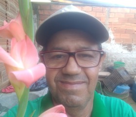 Francisco Alves, 50 лет, Goiânia