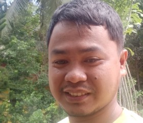 Edgar Develos, 29 лет, Batangas