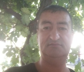 Бахтияр Якубов, 38 лет, Шымкент