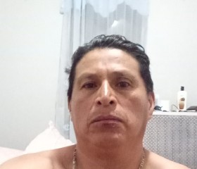 Carlos Guerrero, 48 лет, Belleville (State of New Jersey)