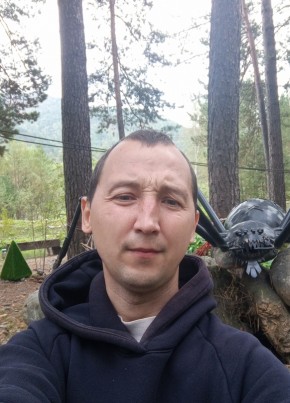Denis, 33, Russia, Barnaul