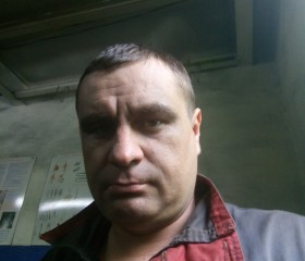 Евгений, 42 года, Каменск-Шахтинский