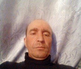 Андрей, 44 года, Петровск