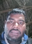 Ram bhavan, 33 года, Allahabad
