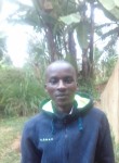 Dancan Murithii, 26 лет, Nairobi