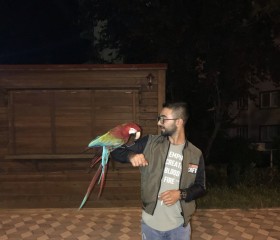 black, 27, Orhangazi