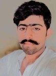Ali sheri, 19 лет, لاہور