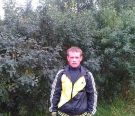 Сергей, 35 лет, Луза
