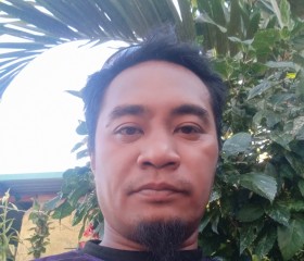 Francisco, 35 лет, Lungsod ng Bacolod