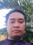 Francisco, 35 лет, Lungsod ng Bacolod