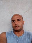 Luis, 36 лет, Florianópolis