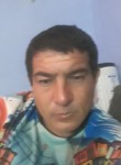 Fabio, 35 лет, São Bernardo do Campo
