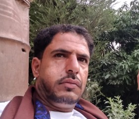 مصطفى, 32, Sanaa