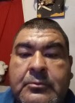 Edgar ivan, 40 лет, Monterrey City