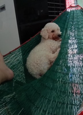 Unknown из Thành phố Hồ Chí Minh 30 лет