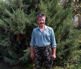 Андрей, 61 год, Краснодар