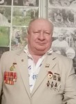 Николай, 68 лет, Кингисепп