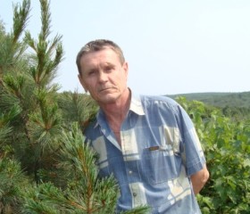 ВАЛЕНТИН, 69 лет, Николаевск-на-Амуре
