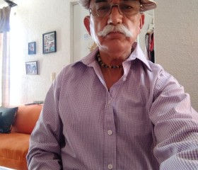 antelmo, 69 лет, San Juan del Río