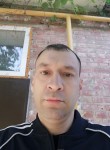 Михаил, 44 года, Таганрог