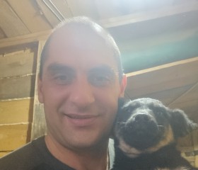 Aleksandr, 36, Saint Petersburg