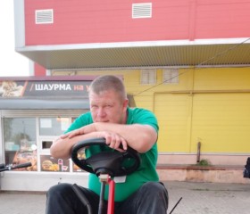 Алексей Комков, 39 лет, Тула
