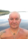 Степан, 43 года, Волхов