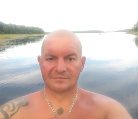 Степан, 43 года, Санкт-Петербург