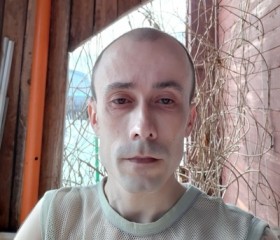 Павел, 36 лет, Данилов