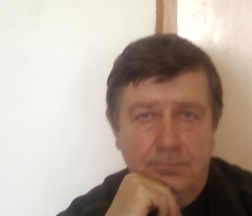 Анатолий, 77 лет, Нововаршавка