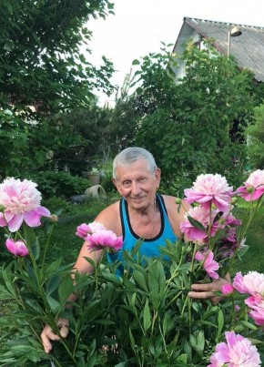 Алекс, 68, Россия, Санкт-Петербург