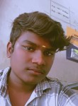 Vijay, 18 лет, Rajapalaiyam