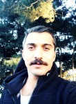 piro, 33 года, Beylikdüzü
