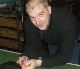 Артем Шубин, 44 года, Красноярск