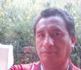 Chente, 46 лет, Arequipa