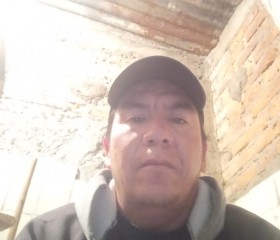 Artemio, 39 лет, Toluca de Lerdo