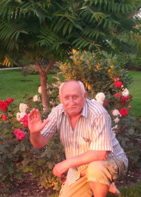 Сергей, 68, Россия, Гайдук