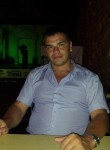 Михаил, 44 года, Ногинск