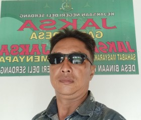 Arif...., 41 год, Kota Binjai